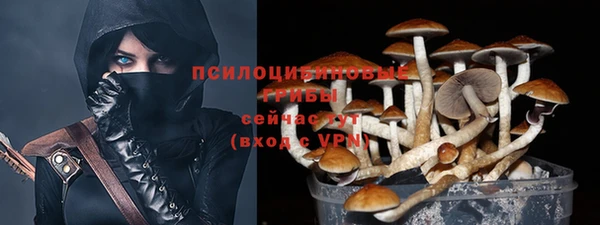 стафф Балахна