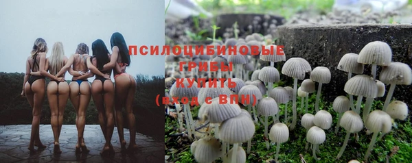 a pvp Баксан