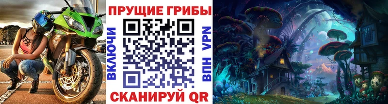 гидра зеркало  Пятигорск  Псилоцибиновые грибы MAGIC MUSHROOMS  магазин  наркотиков 